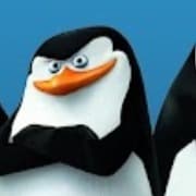 Skeeper en español latino